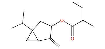 1-Isopropyl-4-methylenebicyclo[3.1.0]hexan-3-yl 2-methylbutyrate